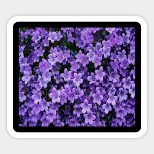 Purple Petaled Flower at daytime Sticker